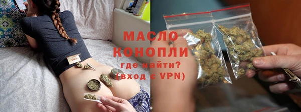 гашик Новодвинск