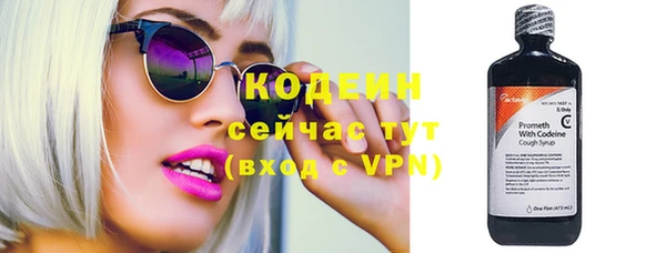 гашик Новодвинск