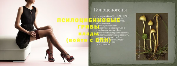 гидропоника Нея