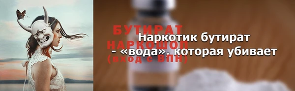гашик Новодвинск