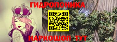 прущие грибы Апшеронск