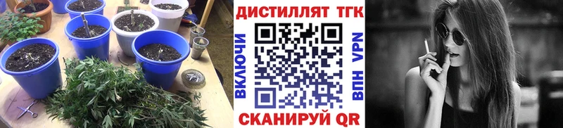 как найти   мега рабочий сайт  ТГК вейп  Мыски 