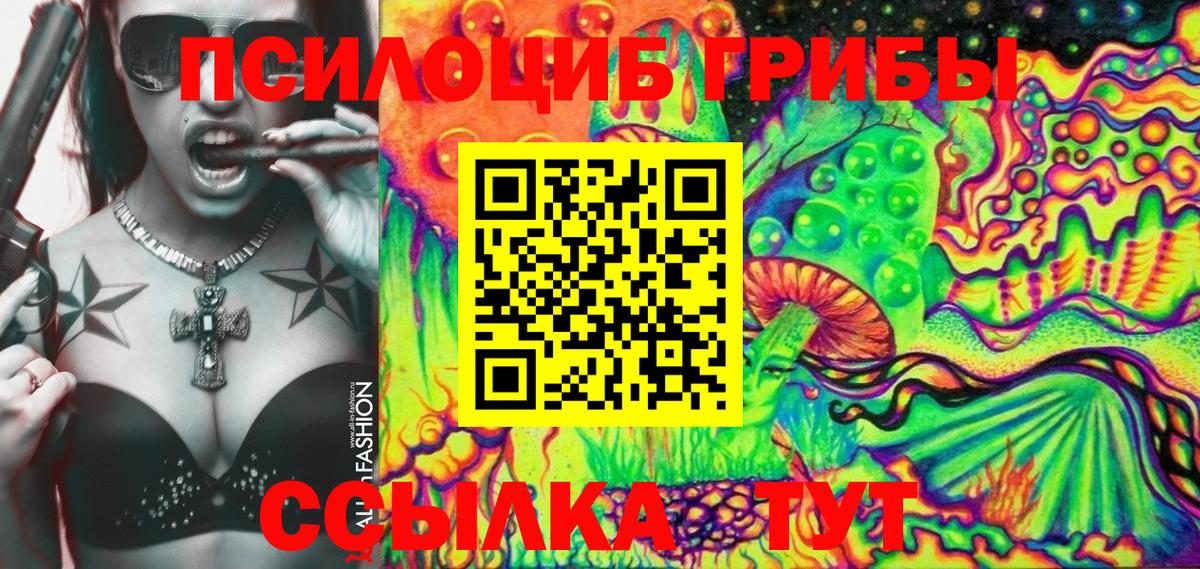 Псилоцибиновые грибы мицелий  Мыски  как найти закладки  Псилоцибиновые грибы MAGIC MUSHROOMS 