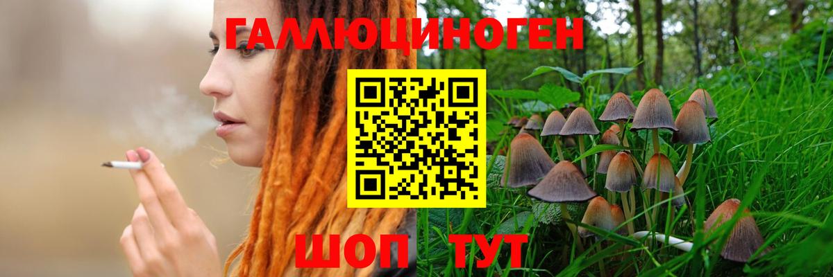 Псилоцибиновые грибы Psilocybine cubensis  Вход с VPN  Псилоцибиновые грибы Magic Shrooms  Мыски 
